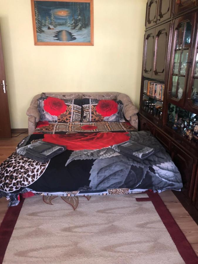 La Symo Apartament Straja Lupeni Lupeni  Екстериор снимка