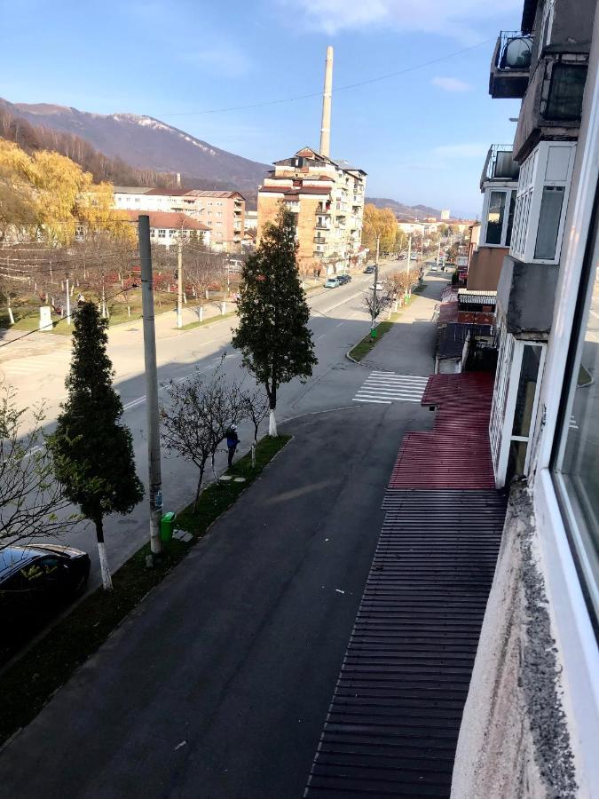 La Symo Apartament Straja Lupeni Lupeni  Екстериор снимка