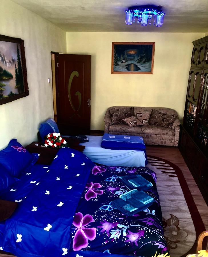 La Symo Apartament Straja Lupeni Lupeni  Екстериор снимка