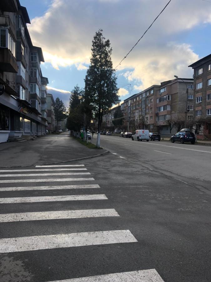 La Symo Apartament Straja Lupeni Lupeni  Екстериор снимка